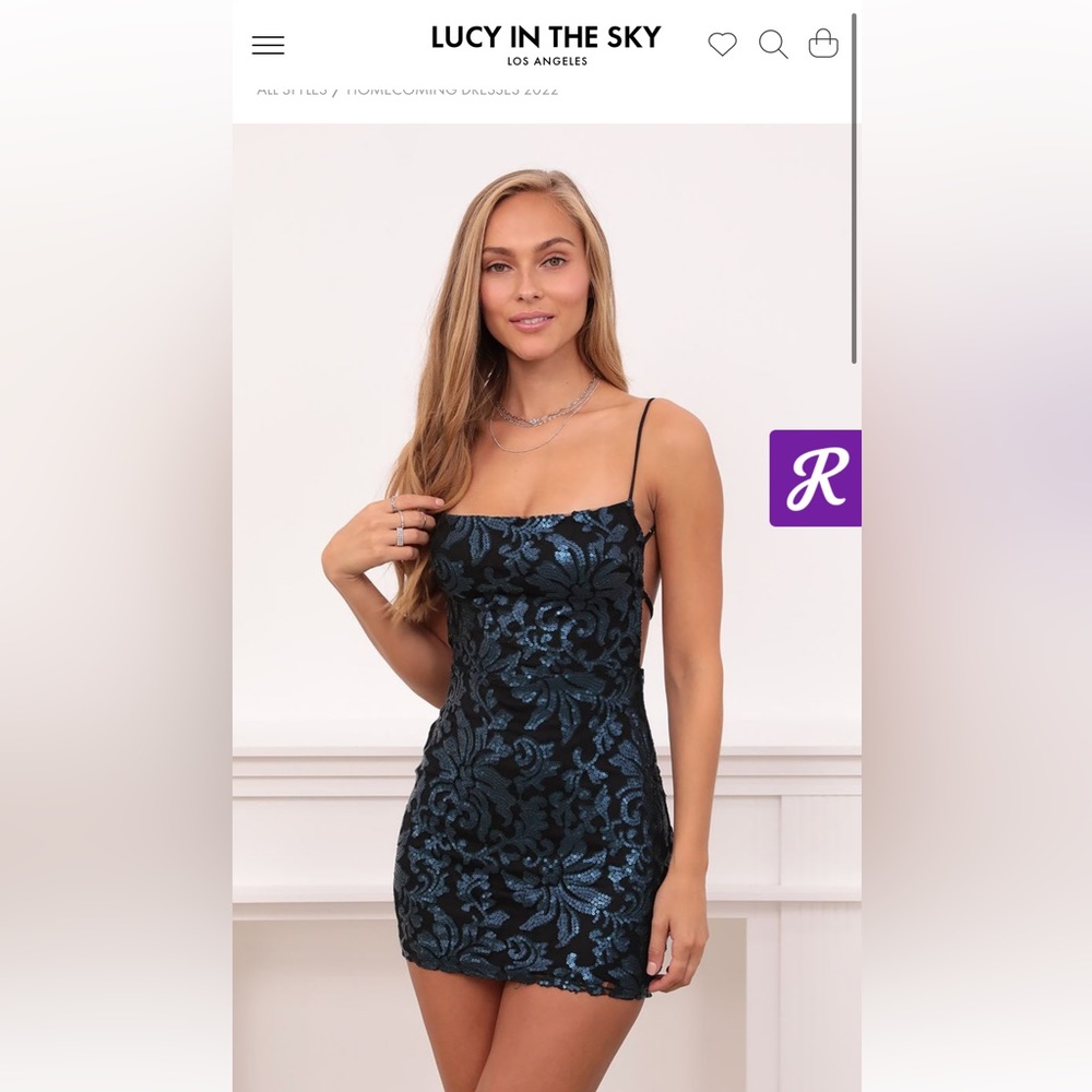 NEW, never worn Lucy in the sky mini Dress
